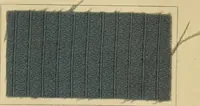 An illustration from The coal tar colours of Farbwerke vorm. Meister Lucius & Brüning, Hoechst on Main, Germany and their application in wool dyeing (1910)