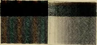 An illustration from The coal tar colours of Farbwerke vorm. Meister Lucius & Brüning, Hoechst on Main, Germany and their application in wool dyeing (1910)