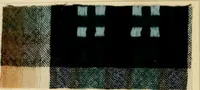 An illustration from The coal tar colours of Farbwerke vorm. Meister Lucius & Brüning, Hoechst on Main, Germany and their application in wool dyeing (1910)