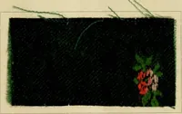 An illustration from The coal tar colours of Farbwerke vorm. Meister Lucius & Brüning, Hoechst on Main, Germany and their application in wool dyeing (1910)