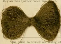 An illustration from The coal tar colours of Farbwerke vorm. Meister Lucius & Brüning, Hoechst on Main, Germany and their application in wool dyeing (1910)