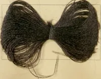 An illustration from The coal tar colours of Farbwerke vorm. Meister Lucius & Brüning, Hoechst on Main, Germany and their application in wool dyeing (1910)