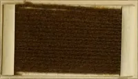 An illustration from The coal tar colours of Farbwerke vorm. Meister Lucius & Brüning, Hoechst on Main, Germany and their application in wool dyeing (1910)