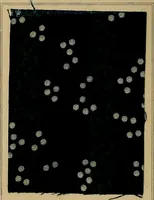 An illustration from The coal tar colours of Farbwerke vorm. Meister, Lucius & Brüning, Hoechst on Main, Germany, applied in calico printing (1908)