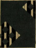 An illustration from The coal tar colours of Farbwerke vorm. Meister, Lucius & Brüning, Hoechst on Main, Germany, applied in calico printing (1908)