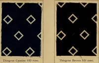 Picture 117 of 214 from The coal tar colours of Farbwerke vorm. Meister, Lucius & Brüning, Hoechst on Main, Germany, applied in calico printing (1908), leaf 236