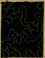 An illustration from The coal tar colours of Farbwerke vorm. Meister, Lucius & Brüning, Hoechst on Main, Germany, applied in calico printing (1908)
