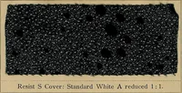 Picture 147 of 214 from The coal tar colours of Farbwerke vorm. Meister, Lucius & Brüning, Hoechst on Main, Germany, applied in calico printing (1908), leaf 281