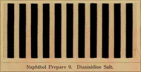 Picture 181 of 214 from The coal tar colours of Farbwerke vorm. Meister, Lucius & Brüning, Hoechst on Main, Germany, applied in calico printing (1908), leaf 350