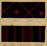 An illustration from The coal tar colours of Farbwerke vorm. Meister, Lucius & Brüning, Hoechst on Main, Germany, applied in calico printing (1908)