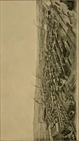 An illustration from The coal tar colours of Farbwerke vorm. Meister, Lucius & Brüning, Hoechst on Main, Germany, applied in calico printing (1908)