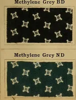 Picture 22 of 214 from The coal tar colours of Farbwerke vorm. Meister, Lucius & Brüning, Hoechst on Main, Germany, applied in calico printing (1908), leaf 90