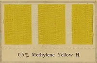 An illustration from The coal tar colours of Farbwerke vorm. Meister, Lucius & Brüning, Hoechst on Main, Germany, applied in calico printing (1908)