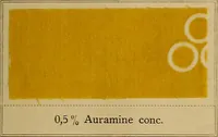 Picture 26 of 214 from The coal tar colours of Farbwerke vorm. Meister, Lucius & Brüning, Hoechst on Main, Germany, applied in calico printing (1908), leaf 98