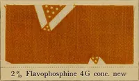 Picture 28 of 214 from The coal tar colours of Farbwerke vorm. Meister, Lucius & Brüning, Hoechst on Main, Germany, applied in calico printing (1908), leaf 99