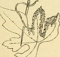 An illustration from Coates sewing and dress making manual .. (1912)
