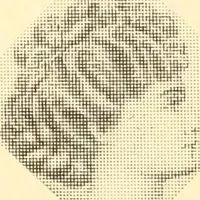 An illustration from Coates sewing and dress making manual .. (1912)