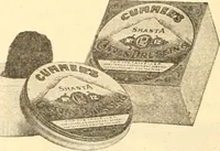 An illustration from Coates sewing and dress making manual .. (1912)