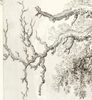 An illustration from Collection de cent-vingt estampes, gravée d'après les tableaux & dessins qui composoient le cabinet de m. Poullain ... précédée d'un abrégé historique de la vie des auteurs qui la composent ... Cette suite a été exécutée sous la direction du sieur Fr. Basan ... par de jeunes artistes des deux sexes, dont les talens se font connoître & accroissent de jour en jour. Le sr. Moitte ... en avoit fait les dessins, d'après les tableaux .. (1781)