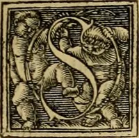 An illustration from Codicis Theodosiani libri XVI : qivbus [sic] svnt ipsorvm principvm avtoritate adiectae novellae Theodosij, Valentiniani, Martiani, Maioriani, Seueri, Caij Institutionum lib. II, Iulij Pauli Receptarum sententiarum lib. V, Gregoriani Codicis lib. V, Hermogeniani lib. I, Papiniani Tit. I : hiis nos adiecimvs ex vetustissimis bibliothecis, eò quod ad ius ciuile pertinerent, & alterius etiam responsa passim in Pandectis legerentur, L. Volusij Metiani lib. de Asse, Iulij Frontini lib. de Controuersijs limitum, cum Aggeni Vrbici Commentarijs (1528)