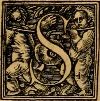 An illustration from Codicis Theodosiani libri XVI : qivbus [sic] svnt ipsorvm principvm avtoritate adiectae novellae Theodosij, Valentiniani, Martiani, Maioriani, Seueri, Caij Institutionum lib. II, Iulij Pauli Receptarum sententiarum lib. V, Gregoriani Codicis lib. V, Hermogeniani lib. I, Papiniani Tit. I : hiis nos adiecimvs ex vetustissimis bibliothecis, eò quod ad ius ciuile pertinerent, & alterius etiam responsa passim in Pandectis legerentur, L. Volusij Metiani lib. de Asse, Iulij Frontini lib. de Controuersijs limitum, cum Aggeni Vrbici Commentarijs (1528)