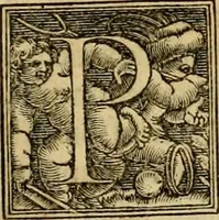 An illustration from Codicis Theodosiani libri XVI : qivbus [sic] svnt ipsorvm principvm avtoritate adiectae novellae Theodosij, Valentiniani, Martiani, Maioriani, Seueri, Caij Institutionum lib. II, Iulij Pauli Receptarum sententiarum lib. V, Gregoriani Codicis lib. V, Hermogeniani lib. I, Papiniani Tit. I : hiis nos adiecimvs ex vetustissimis bibliothecis, eò quod ad ius ciuile pertinerent, & alterius etiam responsa passim in Pandectis legerentur, L. Volusij Metiani lib. de Asse, Iulij Frontini lib. de Controuersijs limitum, cum Aggeni Vrbici Commentarijs (1528)