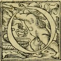Picture 18 of 23 from Codicis Theodosiani libri XVI : qivbus [sic] svnt ipsorvm principvm avtoritate adiectae novellae Theodosij, Valentiniani, Martiani, Maioriani, Seueri, Caij Institutionum lib. II, Iulij Pauli Receptarum sententiarum lib. V, Gregoriani Codicis lib. V, Hermogeniani lib. I, Papiniani Tit. I : hiis nos adiecimvs ex vetustissimis bibliothecis, eò quod ad ius ciuile pertinerent, & alterius etiam responsa passim in Pandectis legerentur, L. Volusij Metiani lib. de Asse, Iulij Frontini lib. de Controuersijs limitum, cum Aggeni Vrbici Commentarijs (1528), leaf 261