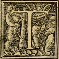 An illustration from Codicis Theodosiani libri XVI : qivbus [sic] svnt ipsorvm principvm avtoritate adiectae novellae Theodosij, Valentiniani, Martiani, Maioriani, Seueri, Caij Institutionum lib. II, Iulij Pauli Receptarum sententiarum lib. V, Gregoriani Codicis lib. V, Hermogeniani lib. I, Papiniani Tit. I : hiis nos adiecimvs ex vetustissimis bibliothecis, eò quod ad ius ciuile pertinerent, & alterius etiam responsa passim in Pandectis legerentur, L. Volusij Metiani lib. de Asse, Iulij Frontini lib. de Controuersijs limitum, cum Aggeni Vrbici Commentarijs (1528)