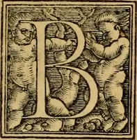 An illustration from Codicis Theodosiani libri XVI : qivbus [sic] svnt ipsorvm principvm avtoritate adiectae novellae Theodosij, Valentiniani, Martiani, Maioriani, Seueri, Caij Institutionum lib. II, Iulij Pauli Receptarum sententiarum lib. V, Gregoriani Codicis lib. V, Hermogeniani lib. I, Papiniani Tit. I : hiis nos adiecimvs ex vetustissimis bibliothecis, eò quod ad ius ciuile pertinerent, & alterius etiam responsa passim in Pandectis legerentur, L. Volusij Metiani lib. de Asse, Iulij Frontini lib. de Controuersijs limitum, cum Aggeni Vrbici Commentarijs (1528)