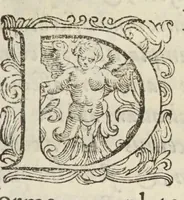 An illustration from Coelestis physiognomoniae libri sex Ioan. Baptistae Portae Neapolitani : vnde quis facile ex humani vultus extima inspectione, poterit ex coniectura futura praesagire : in quibus etiam astrologia refellitur, & inanis, & imaginaria demonstratur (1603)
