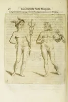 An illustration from Coelestis physiognomoniae libri sex Ioan. Baptistae Portae Neapolitani : vnde quis facile ex humani vultus extima inspectione, poterit ex coniectura futura praesagire : in quibus etiam astrologia refellitur, & inanis, & imaginaria demonstratur (1603)