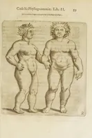 An illustration from Coelestis physiognomoniae libri sex Ioan. Baptistae Portae Neapolitani : vnde quis facile ex humani vultus extima inspectione, poterit ex coniectura futura praesagire : in quibus etiam astrologia refellitur, & inanis, & imaginaria demonstratur (1603)