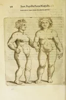 Picture 17 of 31 from Coelestis physiognomoniae libri sex Ioan. Baptistae Portae Neapolitani : vnde quis facile ex humani vultus extima inspectione, poterit ex coniectura futura praesagire : in quibus etiam astrologia refellitur, & inanis, & imaginaria demonstratur (1603), leaf 86