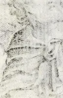 An illustration from Coelum empyreum : non vanis & fictis constellationum monstris belluatum, sed divum domus domini Jesu Christi, ejusque illibatae virginis matris Mariae, sanctorum apostolorum ... splendide illustratum : omnibus verbi Dei ecclesiastis, ad honestos mores, & divinos amores auditorum animis inserendos, morali doctrina, sacra ac profana historia lucubratum (1669)