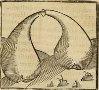 An illustration from Coelum philosophorum seu de secretis naturae liber (1528)