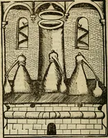 Picture 14 of 86 from Coelum philosophorum seu de secretis naturae liber (1528), leaf 17