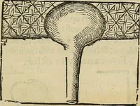 An illustration from Coelum philosophorum seu de secretis naturae liber (1528)