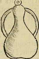 An illustration from Coelum philosophorum seu de secretis naturae liber (1528)