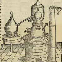 An illustration from Coelum philosophorum seu de secretis naturae liber (1528)