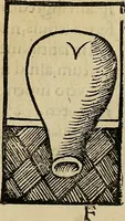 An illustration from Coelum philosophorum seu de secretis naturae liber (1528)