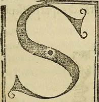 An illustration from Coelum philosophorum seu de secretis naturae liber (1528)
