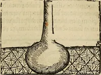 An illustration from Coelum philosophorum seu de secretis naturae liber (1528)