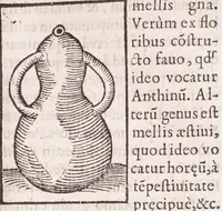 Picture 28 of 42 from Coelum philosophorum, seu, Liber de secretis naturae (1557), leaf 193