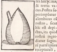 Picture 7 of 42 from Coelum philosophorum, seu, Liber de secretis naturae (1557), leaf 28