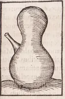 Picture 35 of 42 from Coelum philosophorum, seu, Liber de secretis naturae (1557), leaf 299
