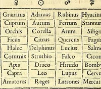 An illustration from Coelum sephiroticum, Hebraeorum, : per portas intelligentiae, Moysi revelatas interiores naturalium rerum characteres ... manifestans, ex vetustissima Hebraica veritate medicinae, chymiae, astronomiae, astrologiae, botanicae, zoologiae, anthropologiae, aliarumque scientiarum nova principia ... explicans ... (1679)