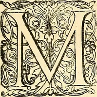 An illustration from Coelum sephiroticum, Hebraeorum, : per portas intelligentiae, Moysi revelatas interiores naturalium rerum characteres ... manifestans, ex vetustissima Hebraica veritate medicinae, chymiae, astronomiae, astrologiae, botanicae, zoologiae, anthropologiae, aliarumque scientiarum nova principia ... explicans ... (1679)