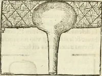 An illustration from Coelvm philosophorvm, sev, De secretis naturae liber (1528)