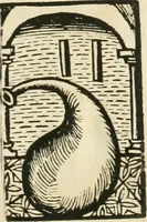 Picture 77 of 89 from Coelvm philosophorvm, sev, De secretis naturae liber (1528), leaf 98
