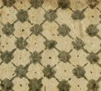 An illustration from Cognoscite lilia agri quomodo crescant (1614)
